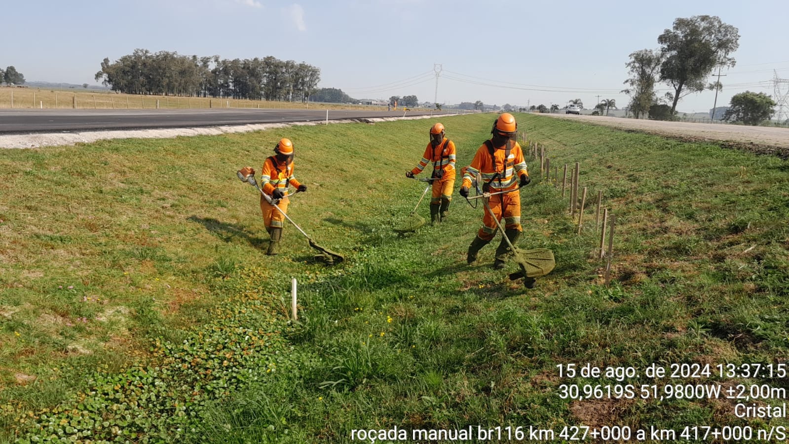 Foto de Lisandra Regner(4)